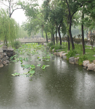 雨天北宁公园荷塘石拱桥