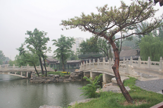 雨天北宁公园绿地湖水石桥