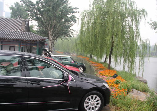 雨天北宁公园婚车绿树