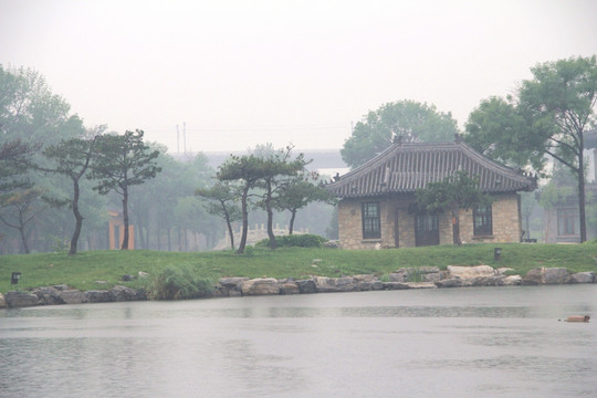 雨天北宁公园湖水草坪松树盆景