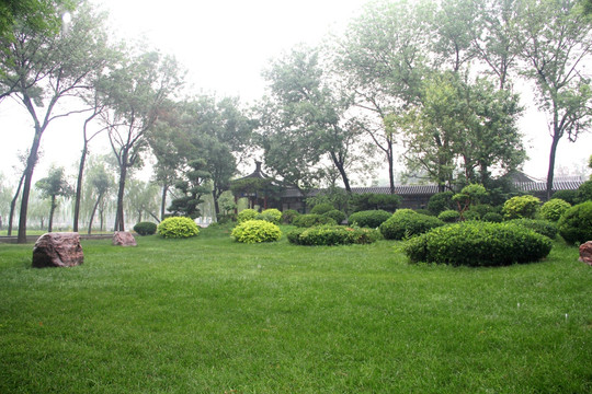 雨天天津北宁公园风景草坪树盆景