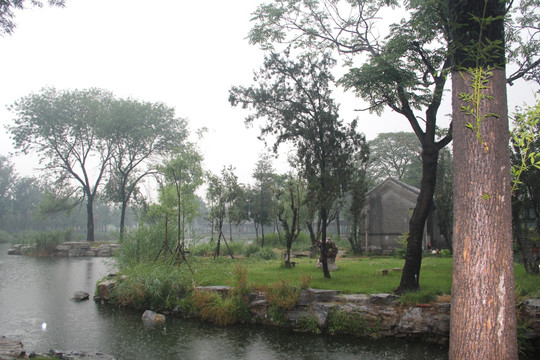 雨天天津北宁公园风景草坪树木