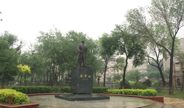 雨天天津中山公园绿地树