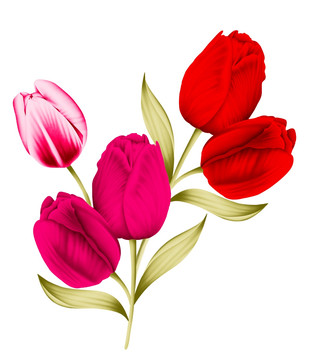 浪漫郁金香（主體花無精細(xì)分層）