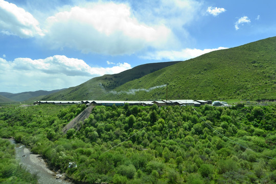 四川松潘养殖场