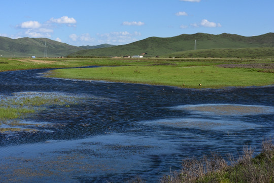 若尔盖湿地草原沼泽风光