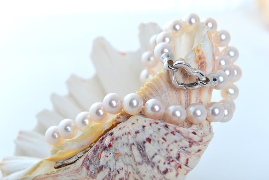 珍珠项链 海螺 花色螺壳 螺纹