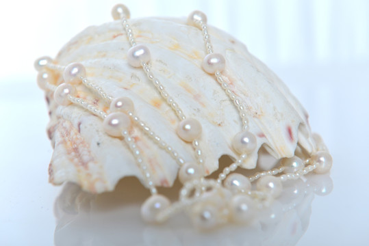珍珠项链 贝壳 大小珍珠 串珠