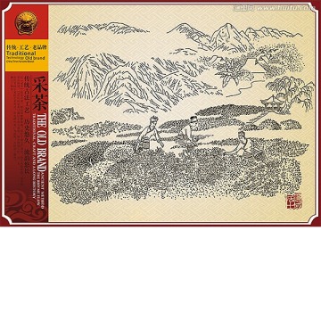 茶山 采茶 制茶工藝 茶園