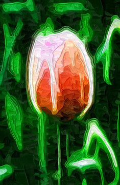 花朵裝飾畫