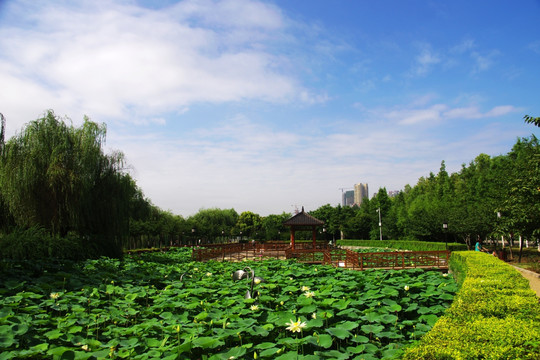 武汉汉阳江滩公园