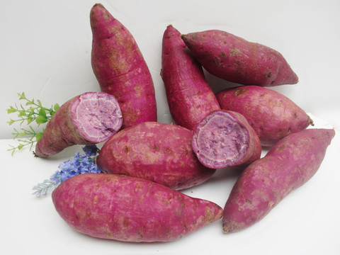紫红薯