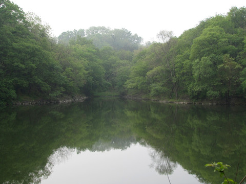 山野镜湖