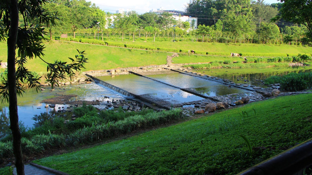 深圳水库排洪河