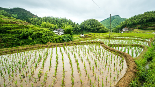 乡村风光