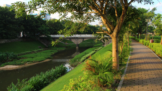 深圳水库排洪河