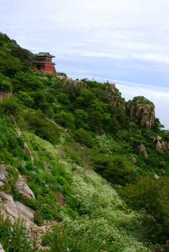 泰山 云海 泰山云海  庙宇