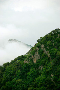 泰山 云海 泰山云海 云雾缭绕