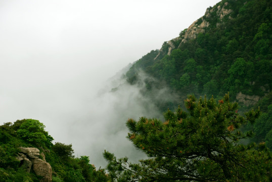 泰山 云海 泰山云海