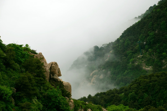 泰山 云海 泰山云海