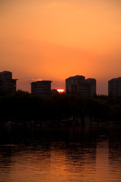 曲江池夕阳