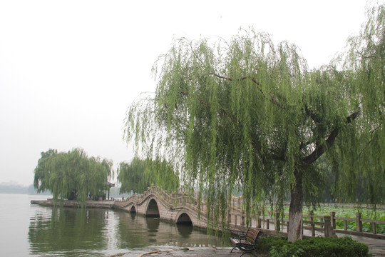 济南大明湖公园 石拱桥