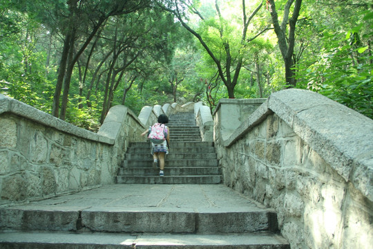 济南千佛山登山的学生背影