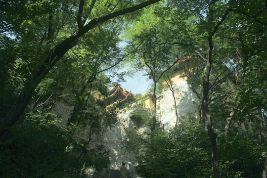 千佛山树林古刹