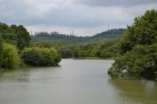 番禺大夫山森林公园