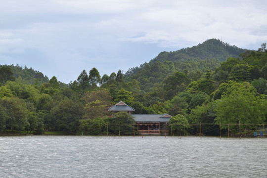 番禺大夫山森林公园