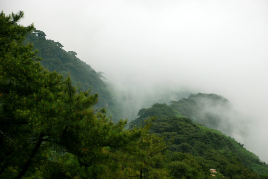 泰山 云海 泰山云海