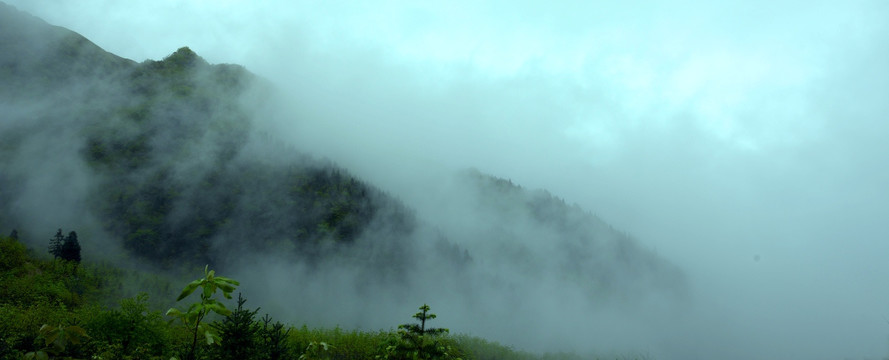 大山云烟