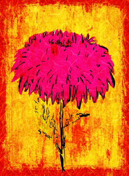 花卉