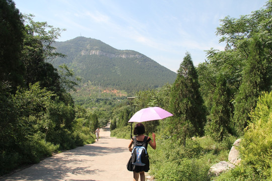 济南千佛山登山的学生背影