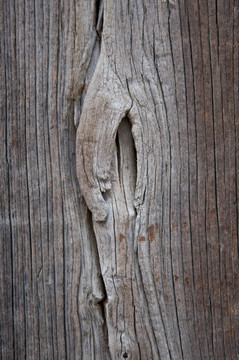 木板纹理 旧门板