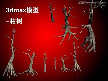枯樹