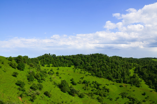 草原牧场