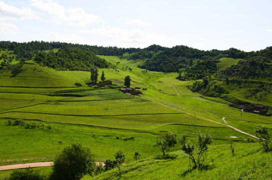 草原牧场