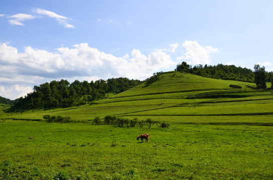 草原牧场