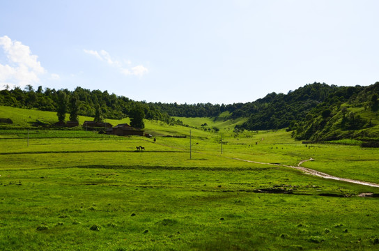 草原牧场