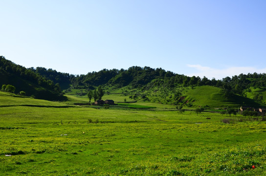 草原牧场