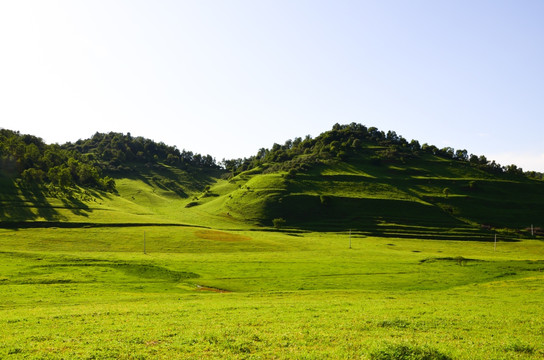 草原牧场