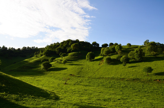 草原牧场