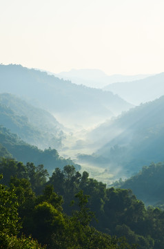 牧场晨曦