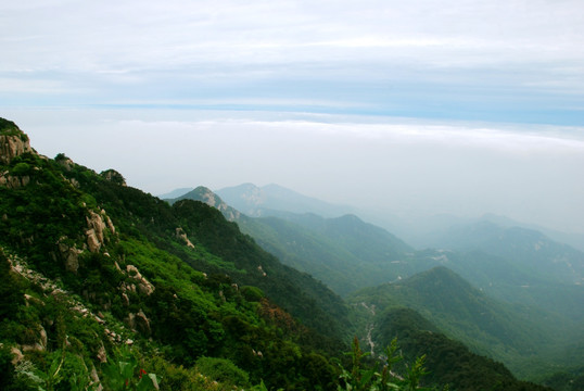 泰山 云海  泰山云海 山脉