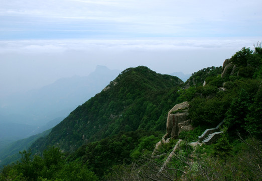 泰山 云海  泰山云海 山脉