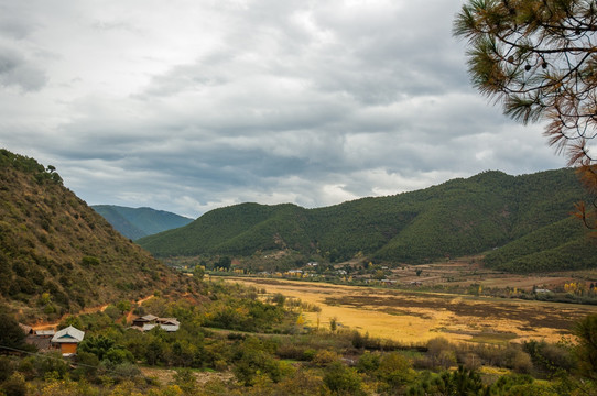 山野乡村景观