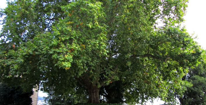 葡萄牙風(fēng)光 歐洲公園