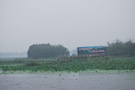 山东 微山湖 景致