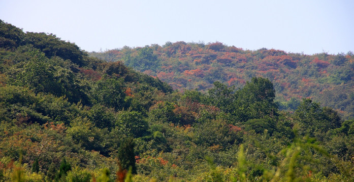 嵩山秋景